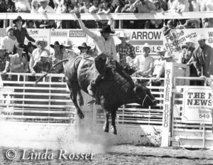 Red Rock 1987 World Champion Bucking Bull